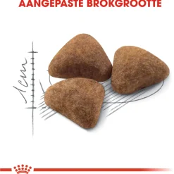 Royal Canin Indoor 27 - Kattenvoer