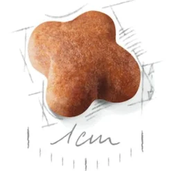 Royal Canin Jack Russel - Puppy-Hondenvoer - 1.5 kg