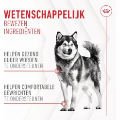 Royal Canin Joint & Ageing Chews - Hondensnacks - 240 g