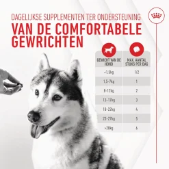 Royal Canin Joint & Ageing Chews - Hondensnacks - 240 g