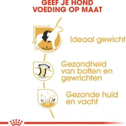 Royal Canin Labrador Retriever Adult - Hondenvoer