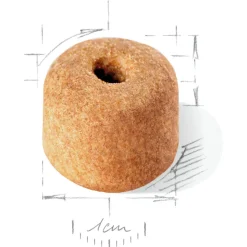 Royal Canin Labrador Retriever Adult 5+ - Hondenvoer