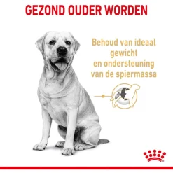 Royal Canin Labrador Retriever Adult 5+ - Hondenvoer
