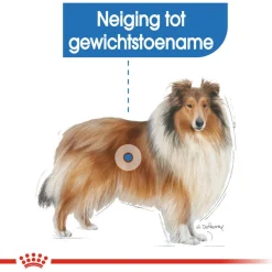 Royal Canin Light Weight Care Maxi - Hondenvoer