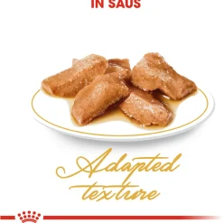 Royal Canin Maine Coon Adult Natvoer - Kattenvoer - 12x85 g