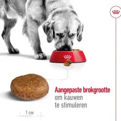 Royal Canin Maxi Adult 5+ - Hondenvoer