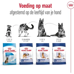 Royal Canin Maxi Adult 5+ - Hondenvoer