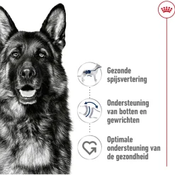 Royal Canin Maxi Adult - Hondenvoer