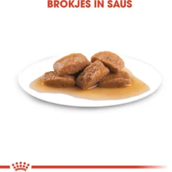 Royal Canin Maxi Adult Natvoer - Hondenvoer - 10x140 g