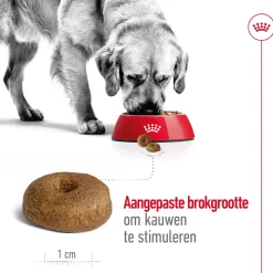 Royal Canin Maxi Ageing 8+ - Hondenvoer