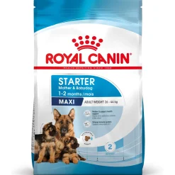 Royal Canin Maxi Starter Mother & Babydog - Puppy-Hondenvoer - 4 kg