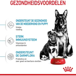 Royal Canin Maxi Starter Mother & Babydog - Puppy-Hondenvoer - 4 kg