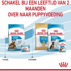 Royal Canin Maxi Starter Mother & Babydog - Puppy-Hondenvoer - 4 kg