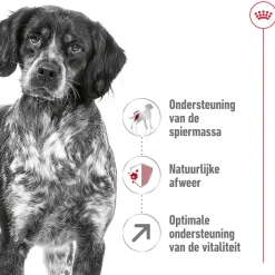 Royal Canin Medium Adult 7+ - Hondenvoer