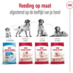 Royal Canin Medium Adult 7+ - Hondenvoer