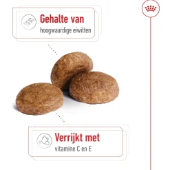 Royal Canin Medium Adult 7+ - Hondenvoer