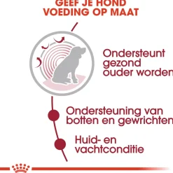 Royal Canin Medium Ageing 10+ Natvoer - Hondenvoer - 10x140 g