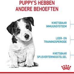 Royal Canin Mini - Puppy-Hondenvoer