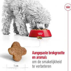 Royal Canin Mini Adult 8+ - Hondenvoer