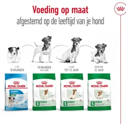Royal Canin Mini Adult 8+ - Hondenvoer