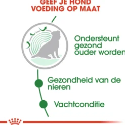 Royal Canin Mini Ageing 12+ Natvoer - Hondenvoer - 12x85 g