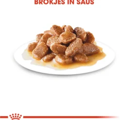 Royal Canin Mini Ageing 12+ Natvoer - Hondenvoer - 12x85 g