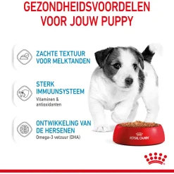 Royal Canin Mini Natvoer - Puppy-Hondenvoer - 12x85 g