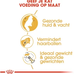 Royal Canin Norwegian Forest Cat Adult - Kattenvoer