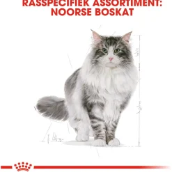 Royal Canin Norwegian Forest Cat Adult - Kattenvoer