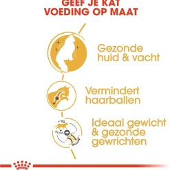 Royal Canin Norwegian Forest Cat Adult - Kattenvoer