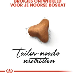 Royal Canin Norwegian Forest Cat Adult - Kattenvoer