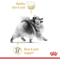 Royal Canin Pomeranian Adult Natvoer - Hondenvoer - 12x85 g