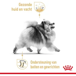 Royal Canin Pomeriaan Adult - Hondenvoer