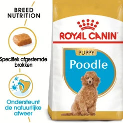 Royal Canin Poodle - Puppy-Hondenvoer - 3 kg