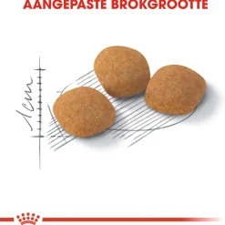 Royal Canin Protein Exigent - Kattenvoer