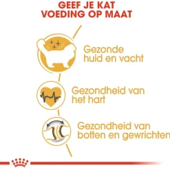 Royal Canin Ragdoll Adult - Kattenvoer