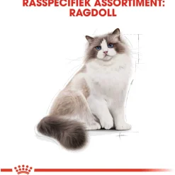 Royal Canin Ragdoll Adult - Kattenvoer