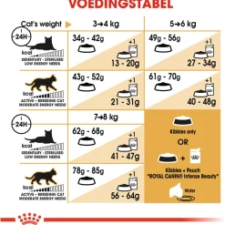 Royal Canin Ragdoll Adult - Kattenvoer