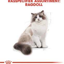 Royal Canin Ragdoll Adult - Kattenvoer