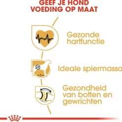 Royal Canin Rottweiler Adult - Hondenvoer