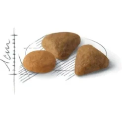 Royal Canin Savour Exigent - Kattenvoer