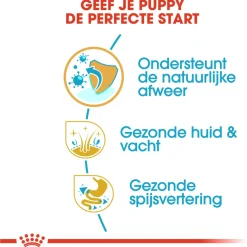 Royal Canin Shih Tzu - Puppy-Hondenvoer - 1.5 kg