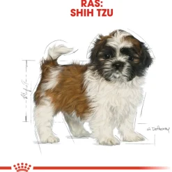 Royal Canin Shih Tzu - Puppy-Hondenvoer - 1.5 kg