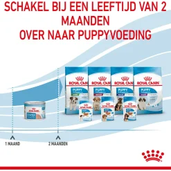 Royal Canin Starter Mousse Mother & Babydog - Puppy-Hondenvoer - 195 g