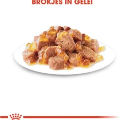 Royal Canin Sterilised In Jelly - Kattenvoer - 12x85 g
