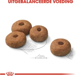 Royal Canin Sterilised Maxi - Hondenvoer - 12 kg