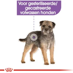 Royal Canin Sterilised Natvoer - Hondenvoer - 12x85 g