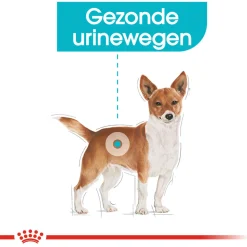 Royal Canin Urinary Care Mini - Hondenvoer