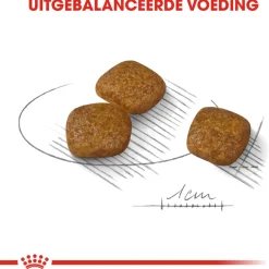 Royal Canin Urinary Care Mini - Hondenvoer
