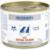 Royal Canin Veterinary Diet Recovery Wet - Honden- en Kattenvoer - 195 g
